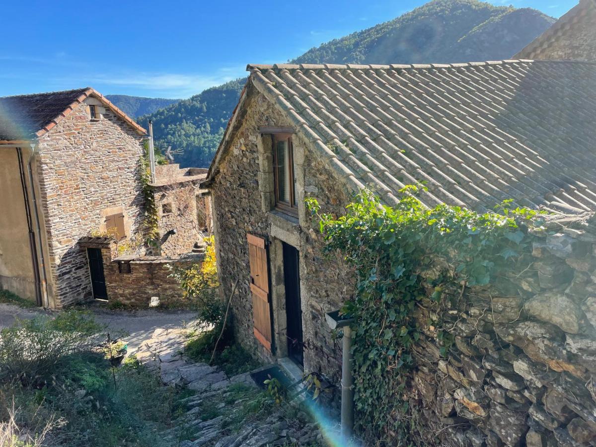 Petit Au Coeur De L'ardeche Appartement